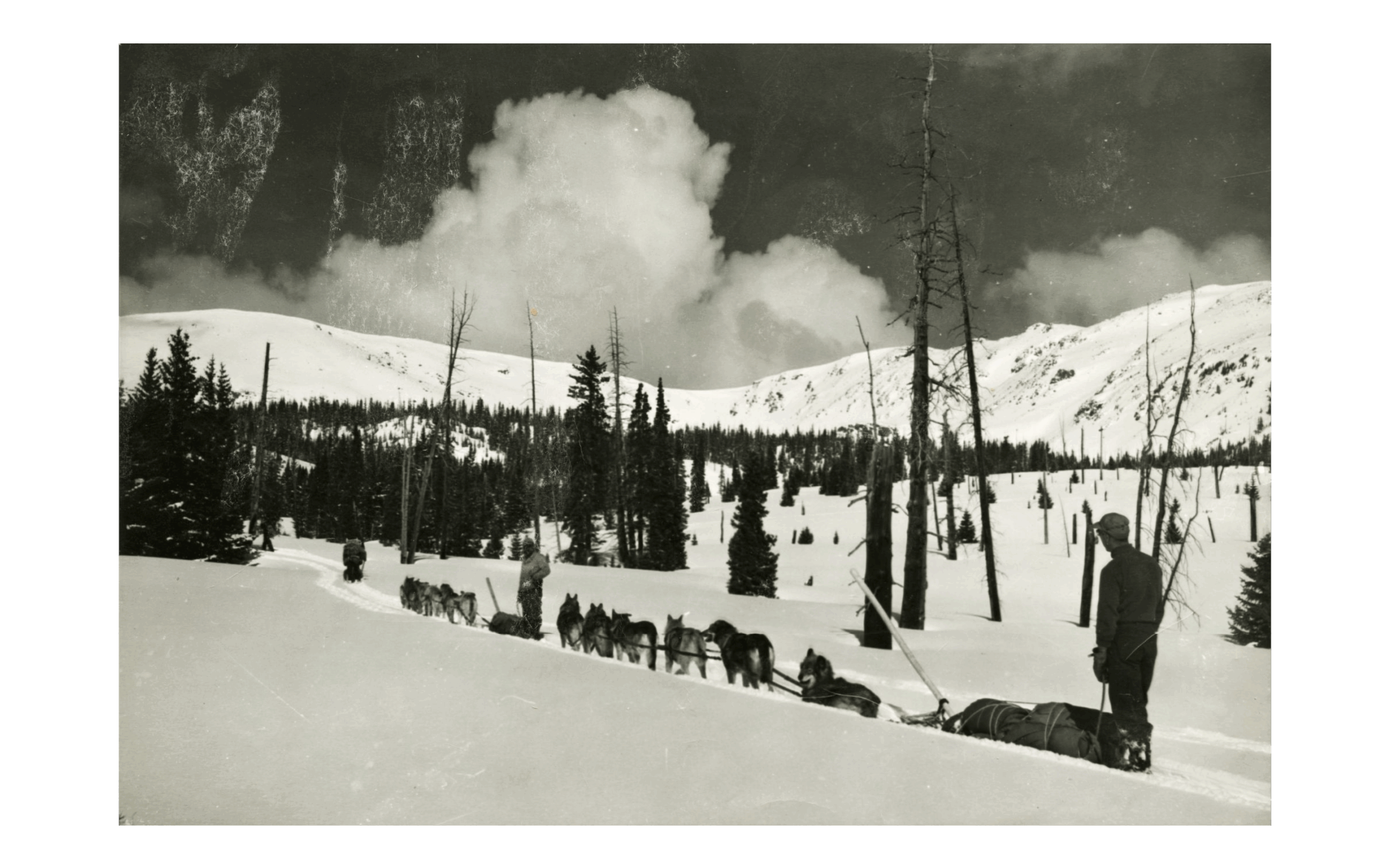 Dog sled team bringing supplies on a sled